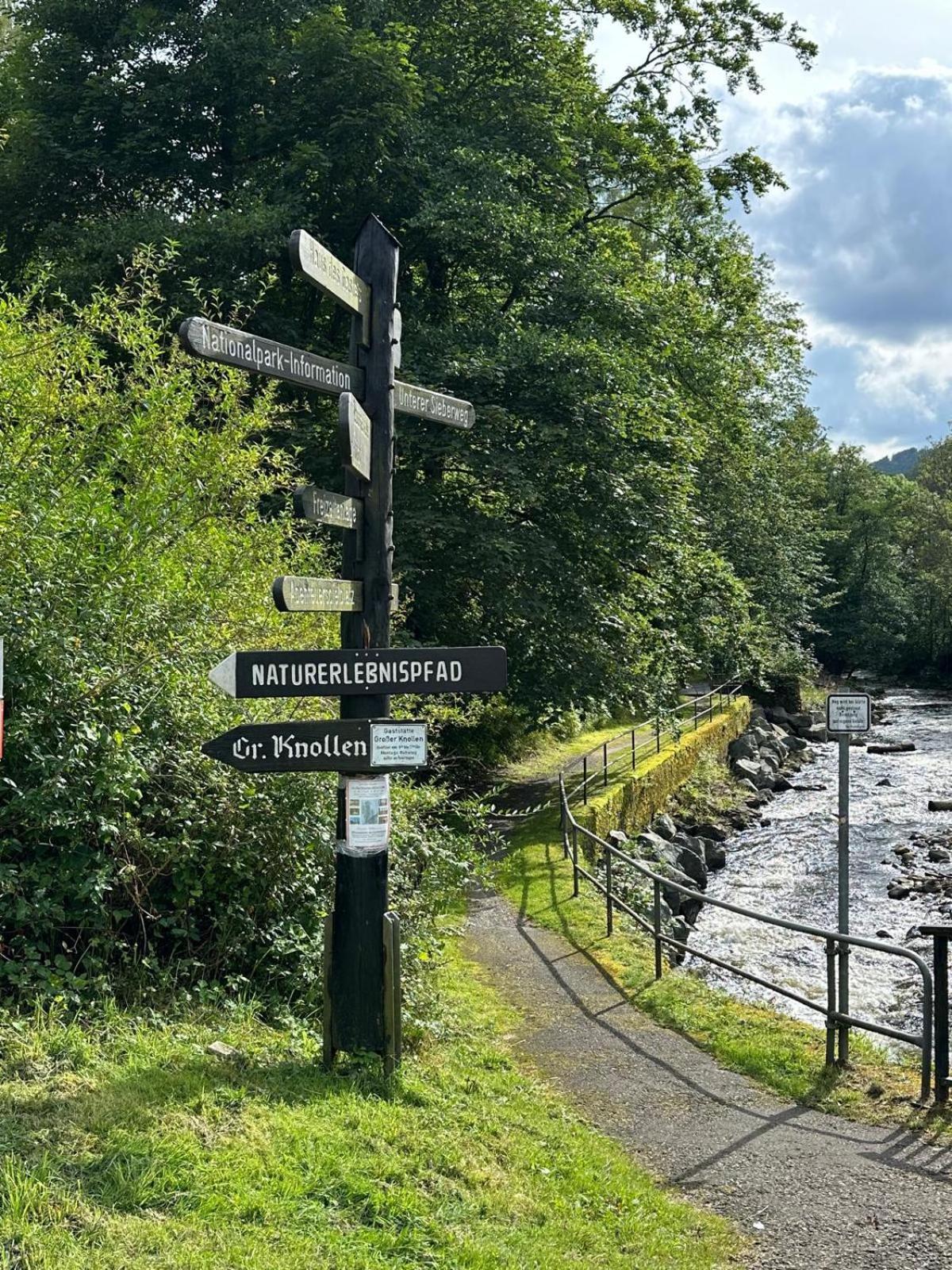 Ferienbutzen Harz Heikenberg, Bad Lauterberg Mit Schwimmbad Und Sauna Екстериор снимка